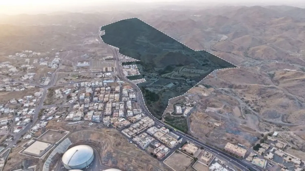 مزاد هدا الطائف