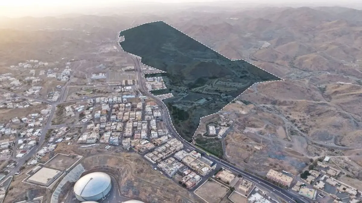 مزاد هدا الطائف
