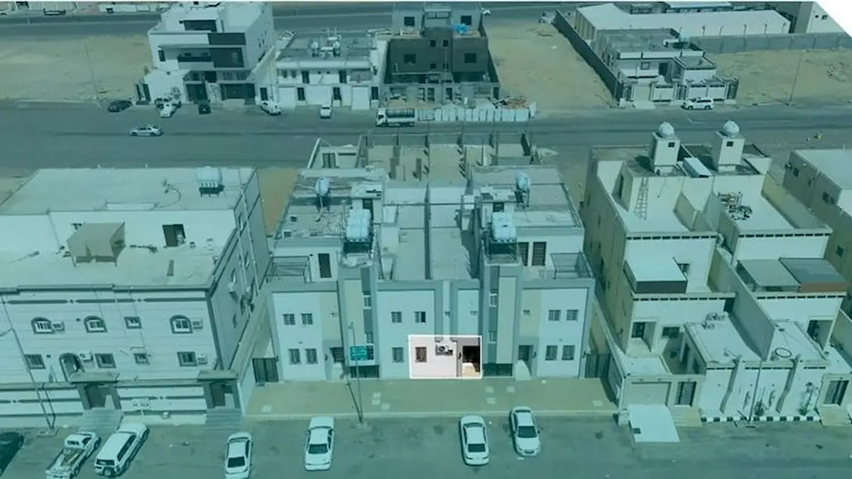 مزاد صفوة تبوك